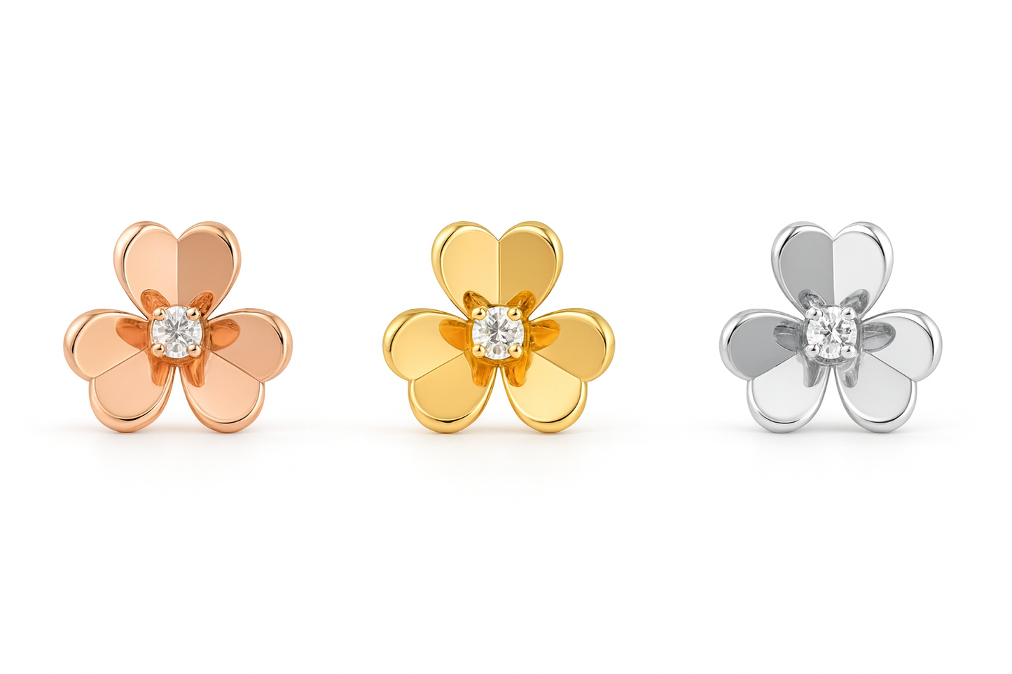 Boucle Bloom